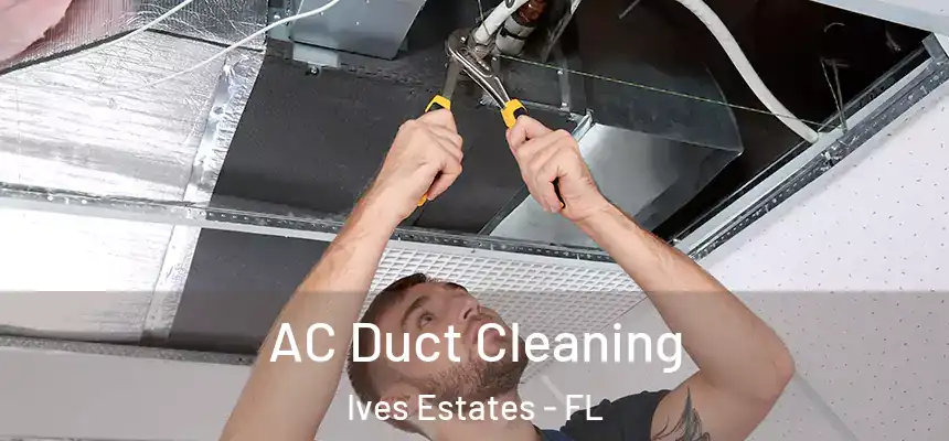  AC Duct Cleaning Ives Estates - FL