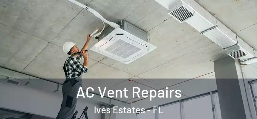  AC Vent Repairs Ives Estates - FL