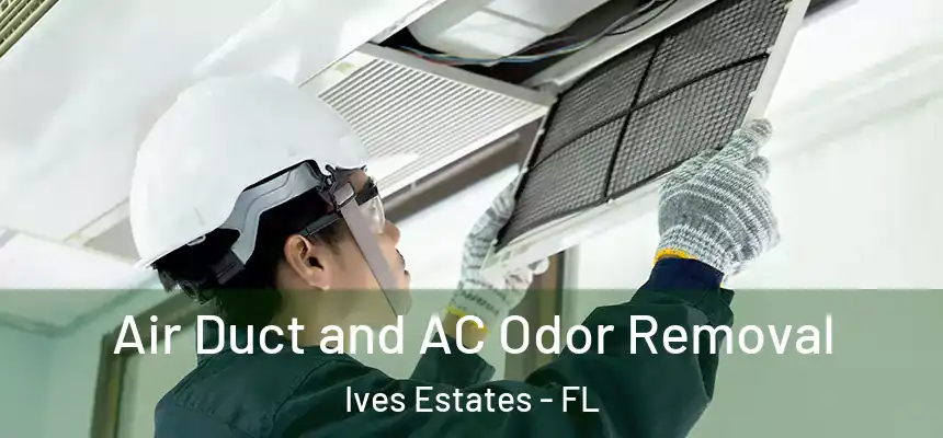  Air Duct and AC Odor Removal Ives Estates - FL