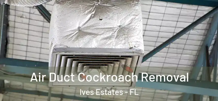  Air Duct Cockroach Removal Ives Estates - FL