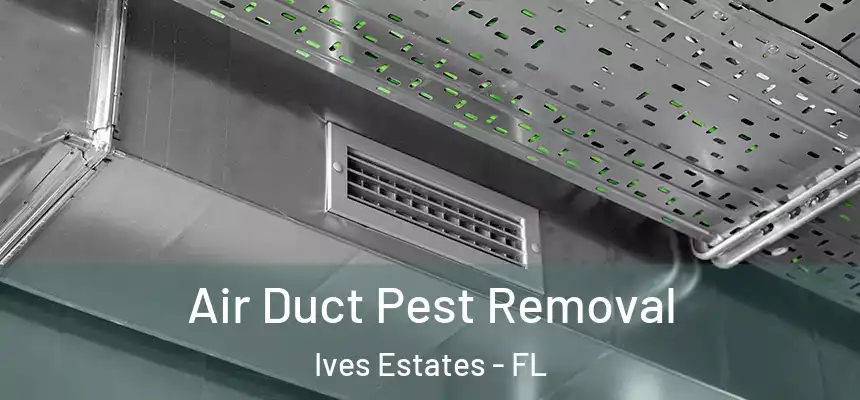  Air Duct Pest Removal Ives Estates - FL