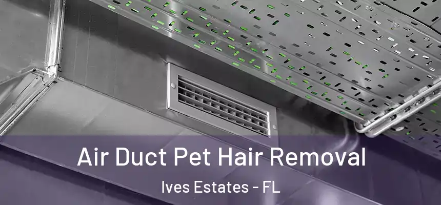  Air Duct Pet Hair Removal Ives Estates - FL
