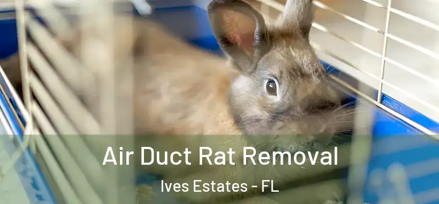  Air Duct Rat Removal Ives Estates - FL