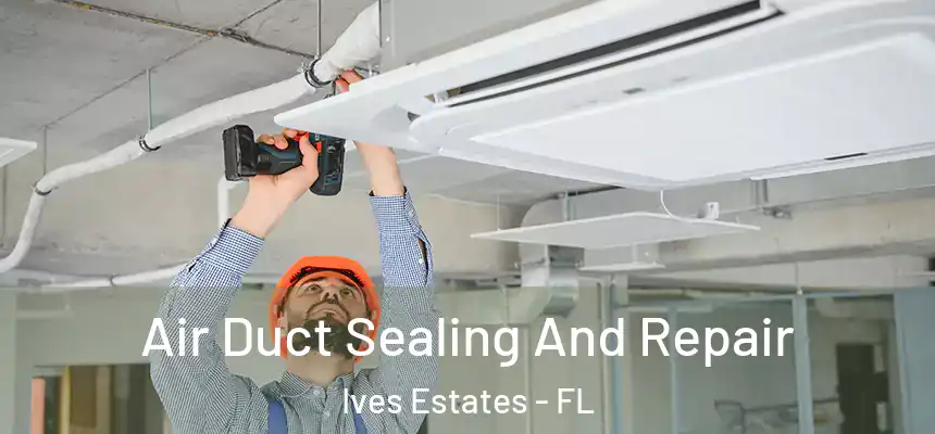  Air Duct Sealing And Repair Ives Estates - FL