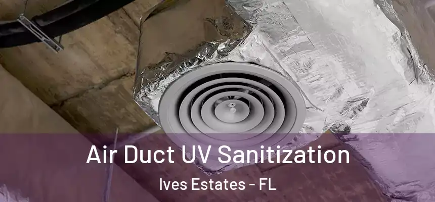  Air Duct UV Sanitization Ives Estates - FL
