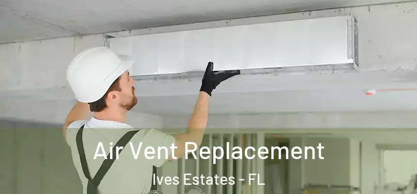  Air Vent Replacement Ives Estates - FL