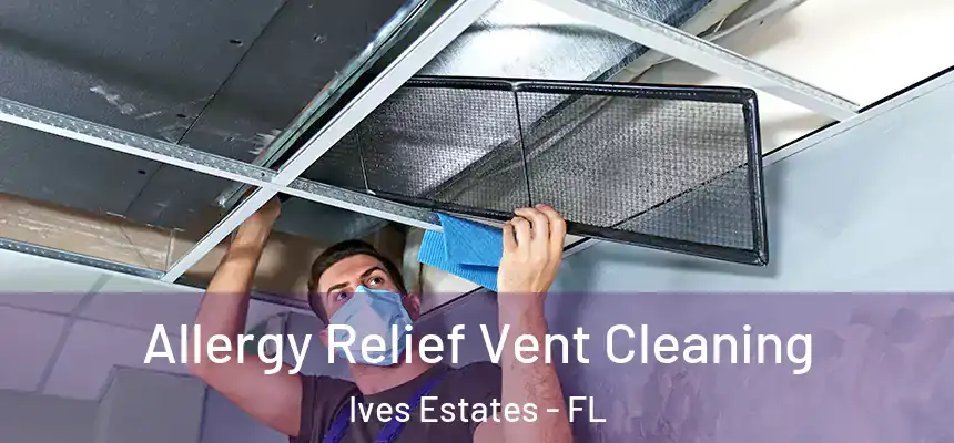  Allergy Relief Vent Cleaning Ives Estates - FL