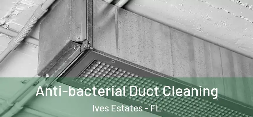 Anti-bacterial Duct Cleaning Ives Estates - FL