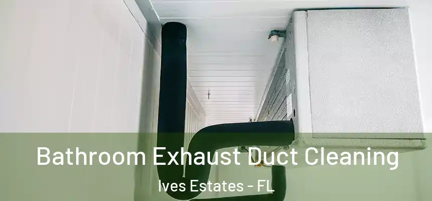  Bathroom Exhaust Duct Cleaning Ives Estates - FL
