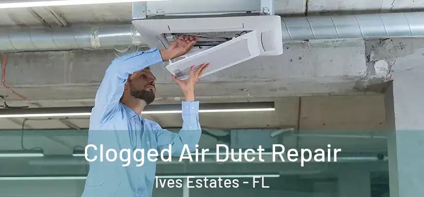  Clogged Air Duct Repair Ives Estates - FL