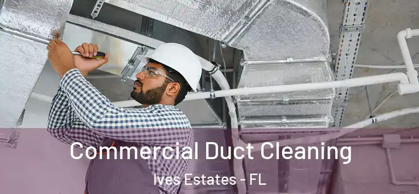  Commercial Duct Cleaning Ives Estates - FL
