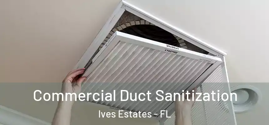  Commercial Duct Sanitization Ives Estates - FL