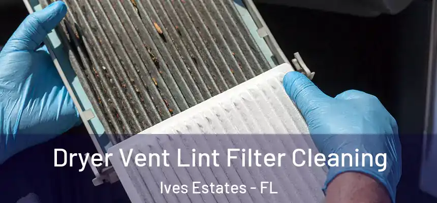  Dryer Vent Lint Filter Cleaning Ives Estates - FL