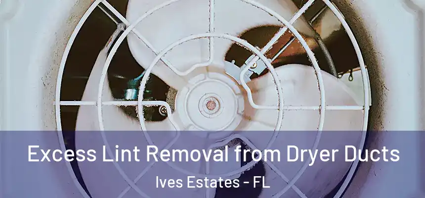  Excess Lint Removal from Dryer Ducts Ives Estates - FL