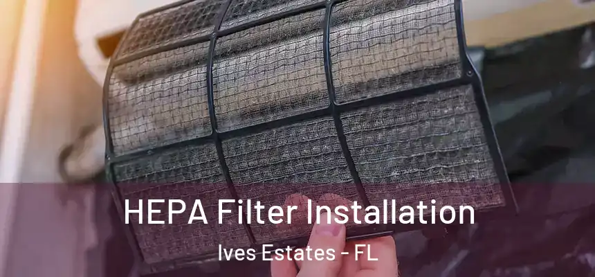  HEPA Filter Installation Ives Estates - FL