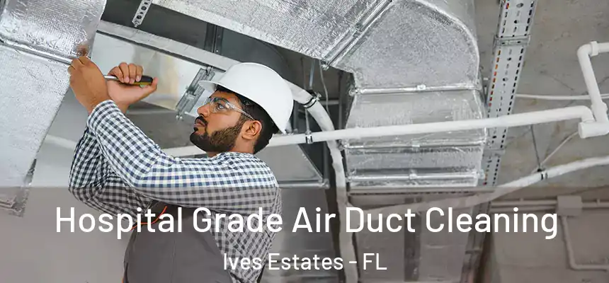  Hospital Grade Air Duct Cleaning Ives Estates - FL