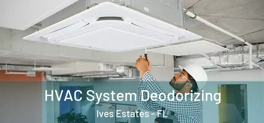  HVAC System Deodorizing Ives Estates - FL