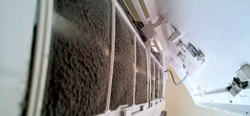 Preventive Air Duct Bacteria Removal in Ives Estates