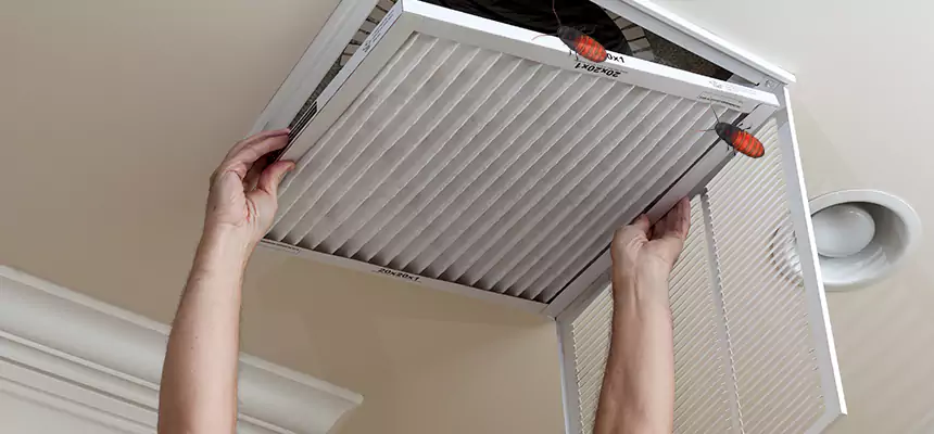 Preventive Cockroach-Proofing for Ducts in Ives Estates