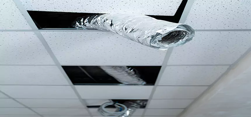 Affordable HVAC Sanitizing After Pest Removal in Ives Estates