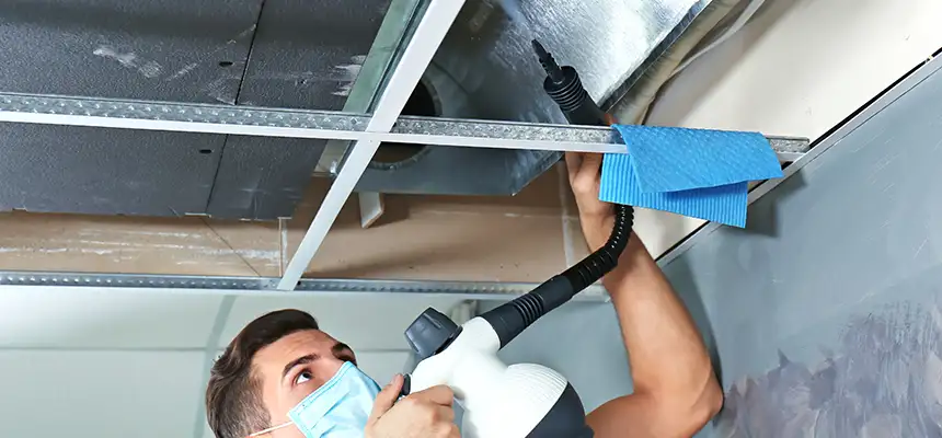 Our Air Duct Rodent Removal Services in Ives Estates, FL