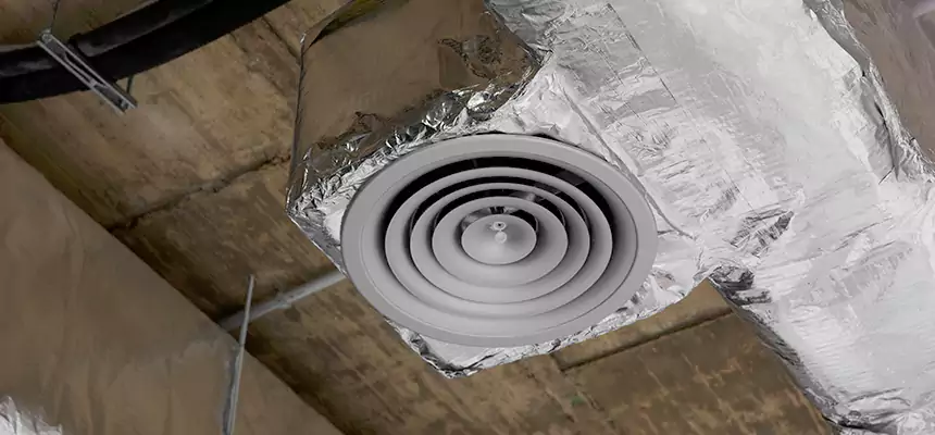 Our Excess Lint Removal from Dryer Ducts Services in Ives Estates, FL