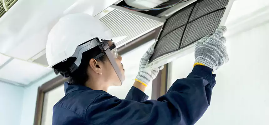 Our Mold & Mildew Removal from Air Ducts Services in Ives Estates, FL