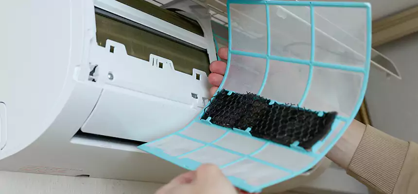 Gentle Ductwork Odor-Control Pet Dander Duct Cleaning in Ives Estates, FL