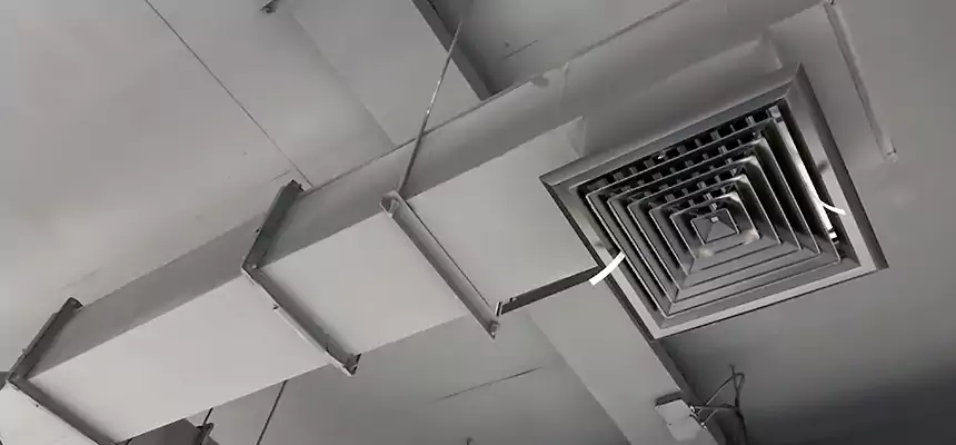 Our Rodent Droppings In Vents Services in Ives Estates, FL