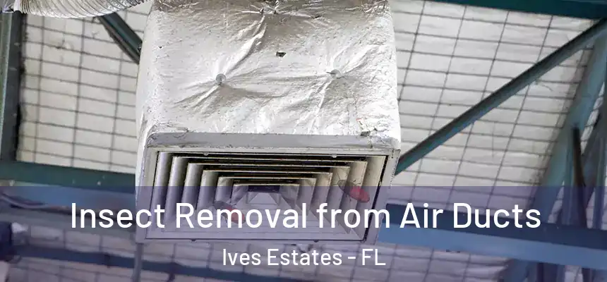  Insect Removal from Air Ducts Ives Estates - FL