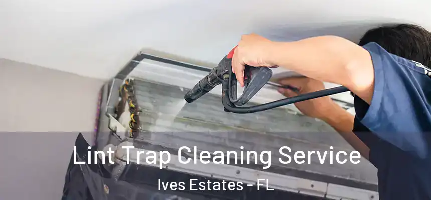  Lint Trap Cleaning Service Ives Estates - FL