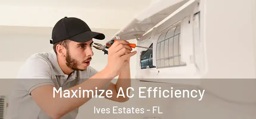  Maximize AC Efficiency Ives Estates - FL