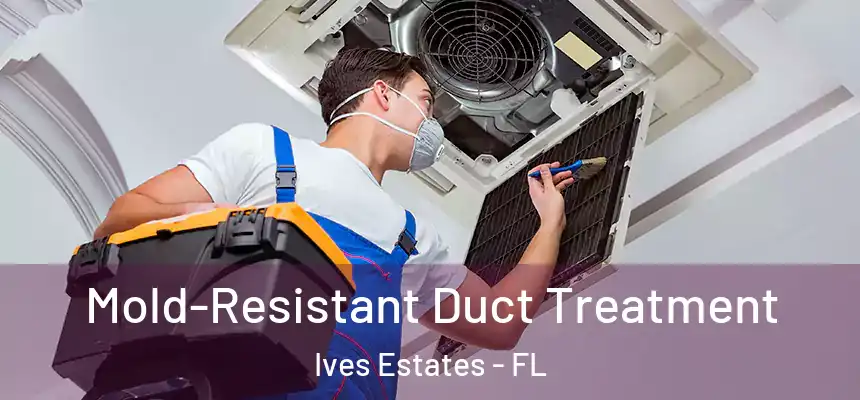  Mold-Resistant Duct Treatment Ives Estates - FL