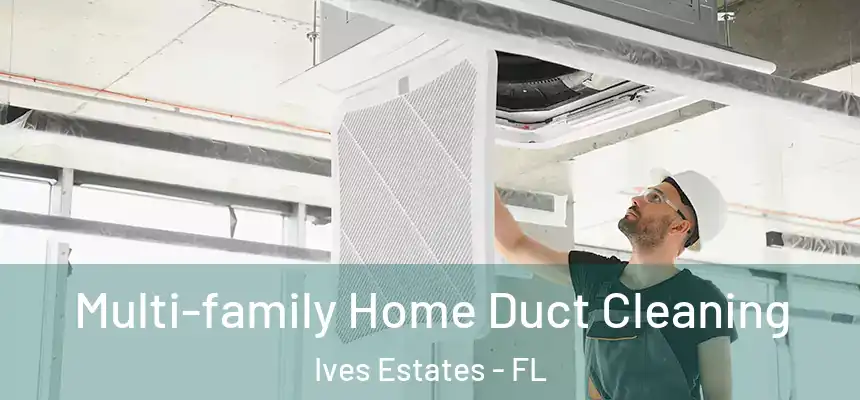  Multi-family Home Duct Cleaning Ives Estates - FL