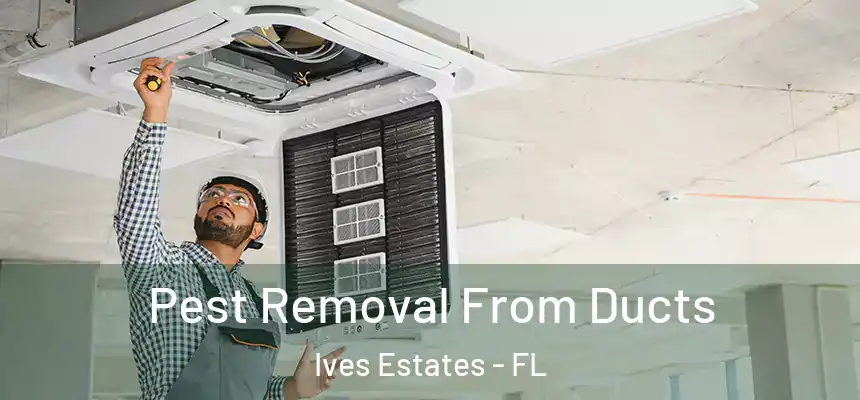  Pest Removal From Ducts Ives Estates - FL