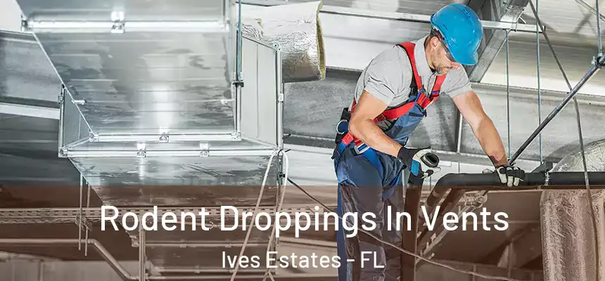  Rodent Droppings In Vents Ives Estates - FL