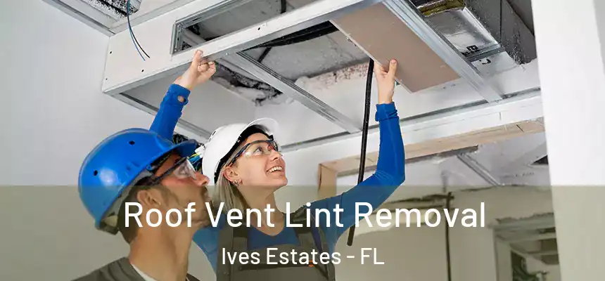  Roof Vent Lint Removal Ives Estates - FL