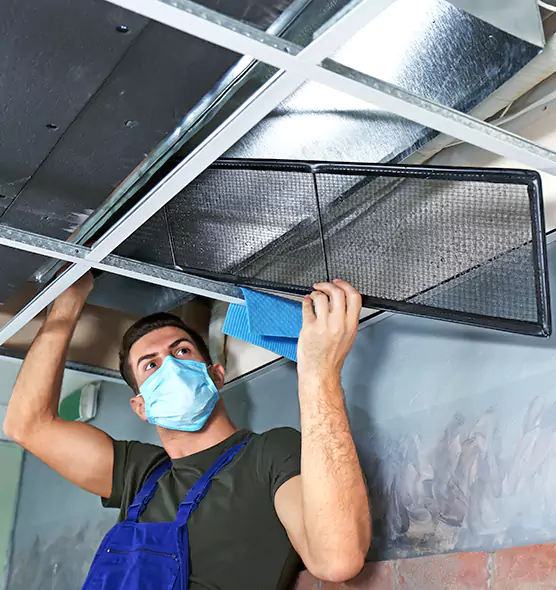 About Air Duct Bacteria Removal in Ives Estates