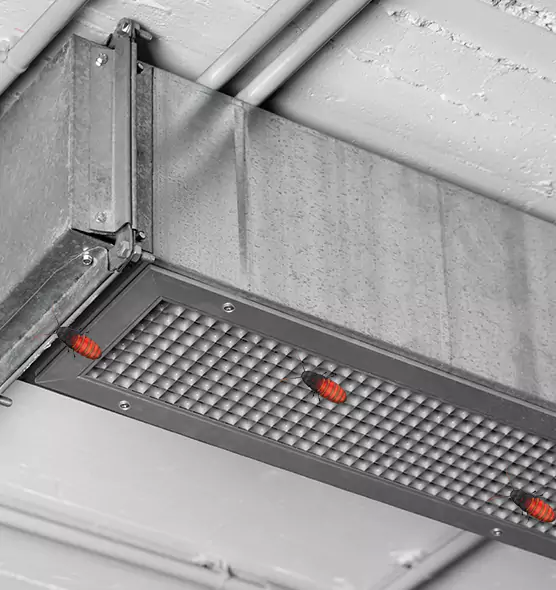 About Air Duct Cockroach Removal in Ives Estates, FL