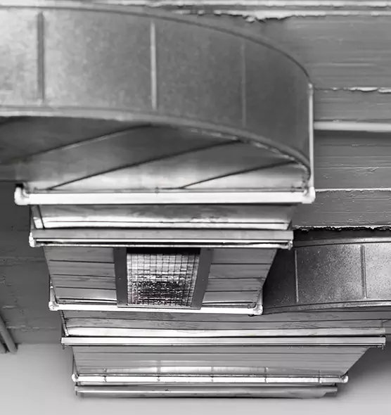 Professional Air Duct Pest Removal in Ives Estates, FL