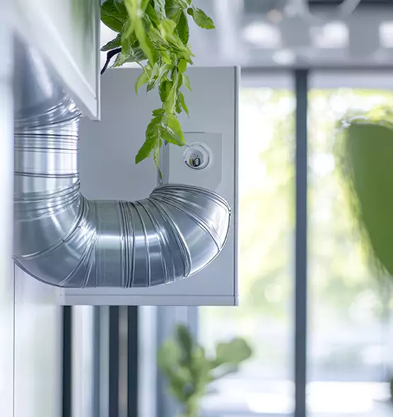 Professional Eco-Safe Dryer Vent Cleaning in Ives Estates, FL