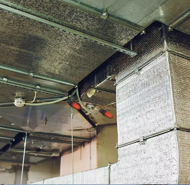 Why Homeowners & Businesses Trust Us in Ives Estates, FL?