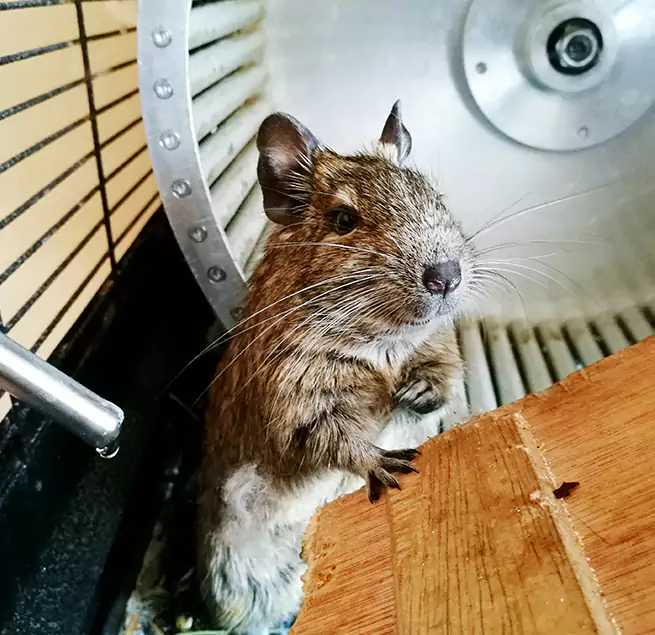 Why Homeowners & Businesses Trust Us Ives Estates, FL