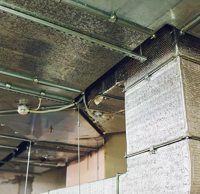 Why Homeowners & Businesses Trust Us in Ives Estates, FL?