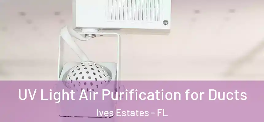 UV Light Air Purification for Ducts Ives Estates - FL