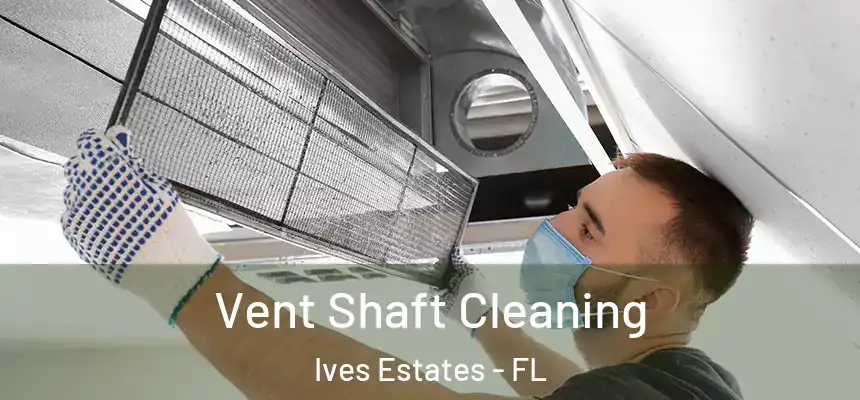  Vent Shaft Cleaning Ives Estates - FL