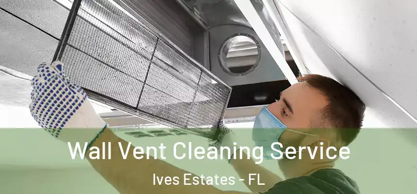  Wall Vent Cleaning Service Ives Estates - FL