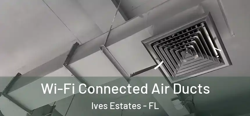  Wi-Fi Connected Air Ducts Ives Estates - FL